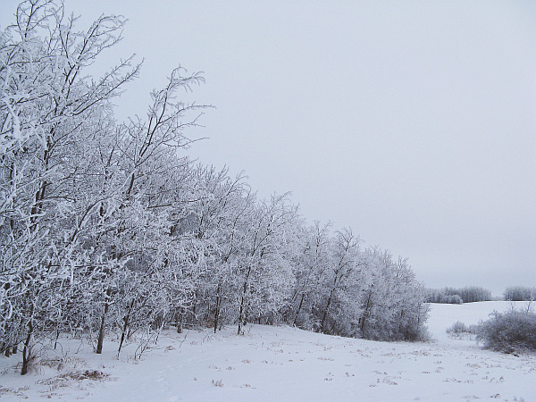 Winter weather in rural Manitoba in December