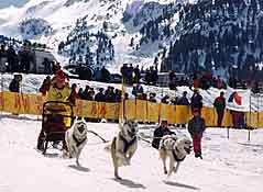 Isa Boucher dogsled racing at Grau Roig in the Principality of Andorra.