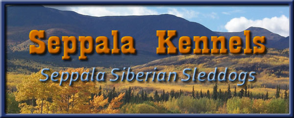 Seppala Kennels banner